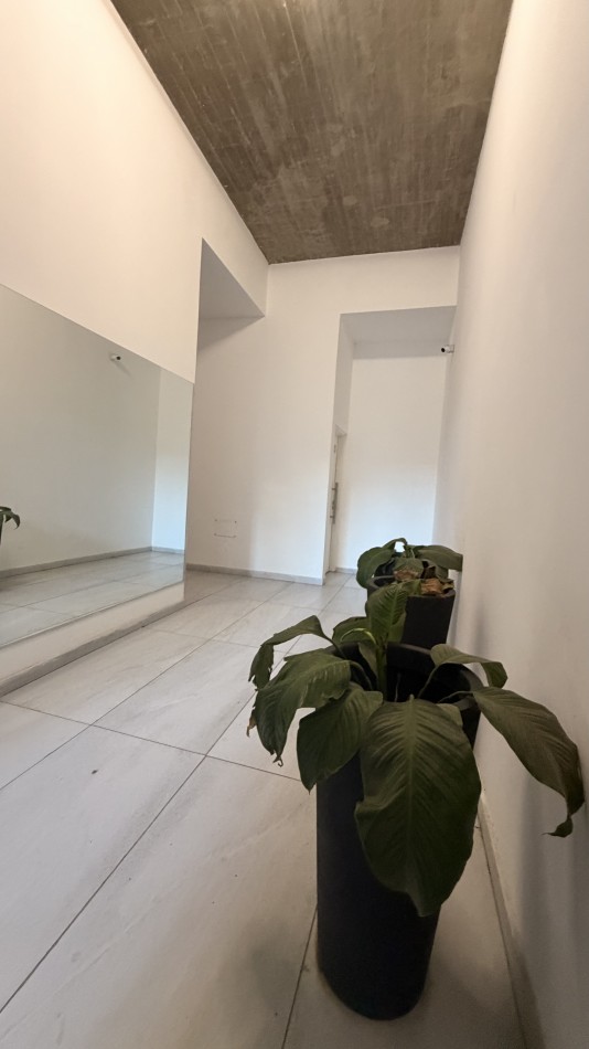 ALQUILER | MONOAMBIENTE | ZEBALLOS 2053